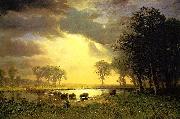 Albert Bierstadt The_Buffalo_Trail oil painting artist